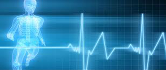 BioKare - Fitness Assessments
