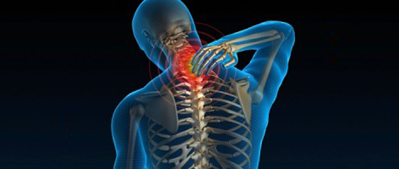 BioKare - Postural Assessments